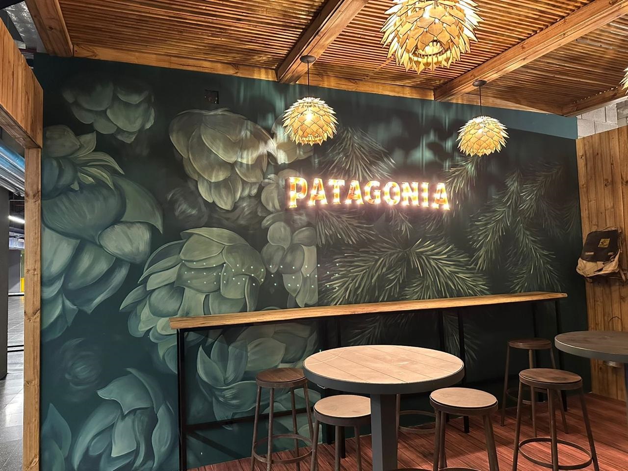 Proyecto Patagonia imagen 6